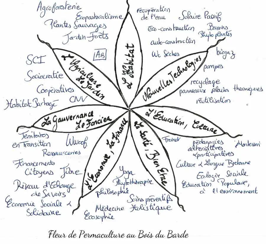 Fleur de permaculture au Bois du Barde