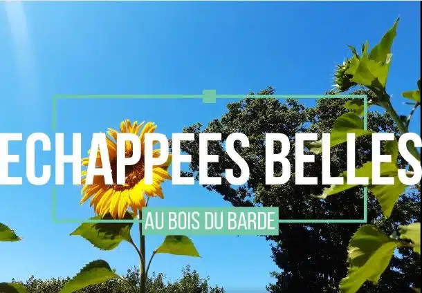 émission échappée belle sur les séjours en breton